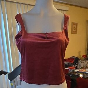 NWT Soft Rose Crop Top